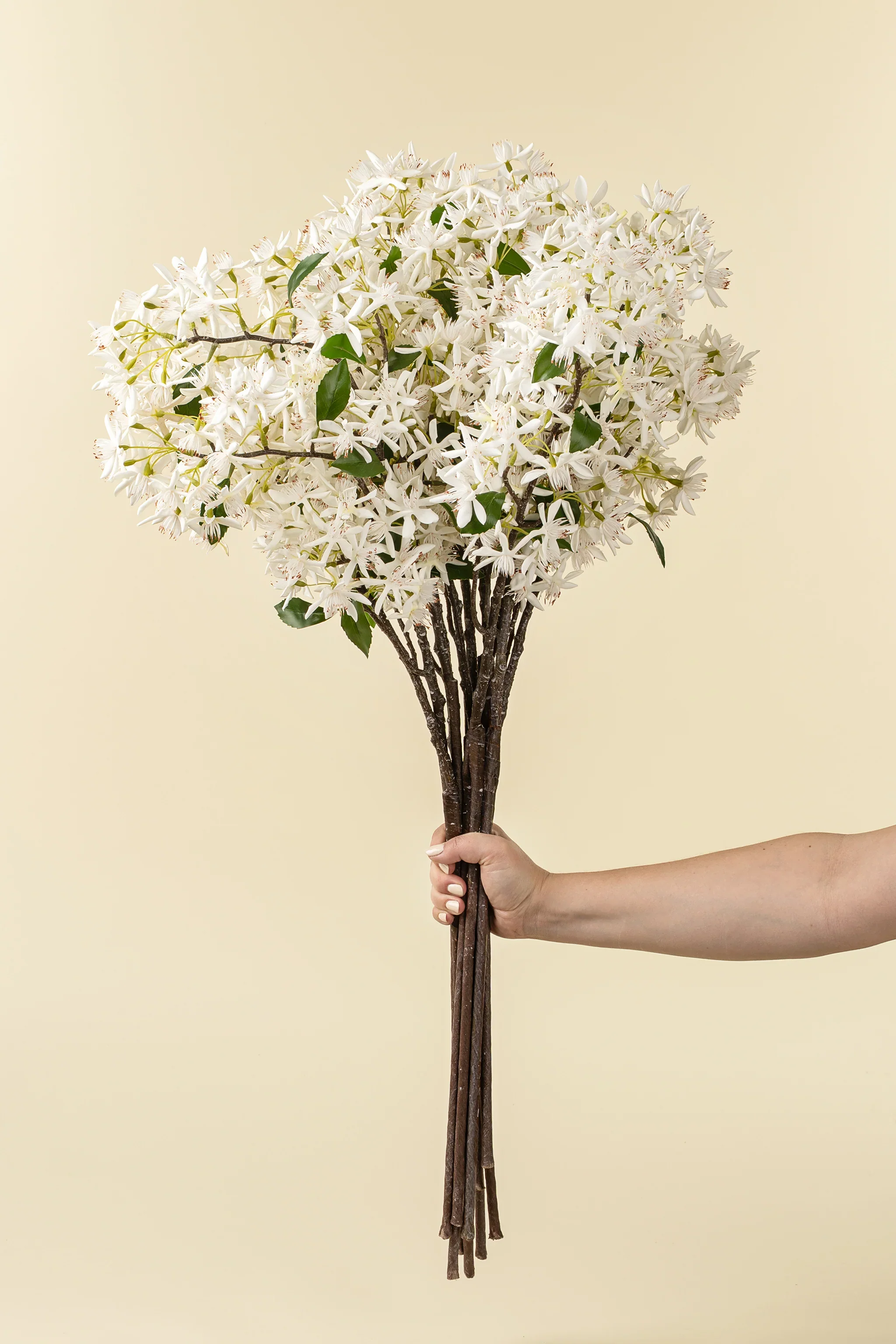 INDABA - STAR MAGNOLIA REAL TOUCH BRANCH - Image 3
