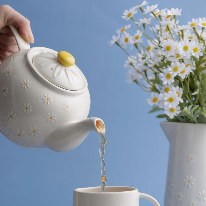 PRICE & KENSINGTON - DAISY 6-CUP TEAPOT - Image 3